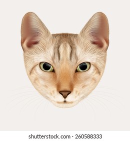 Vector Portrait of Cat. Red Tabby Kitten, Hand-drawn Illustration. EPS10.