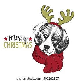 Vector portrait of Christmas dog. Beagle dog wearing deer horn rim and scarf. Use for Xmas, New Year poster, flyer, greeting card, holiday, celebration, party, pet shop, shelter, pharmacy decoration.
