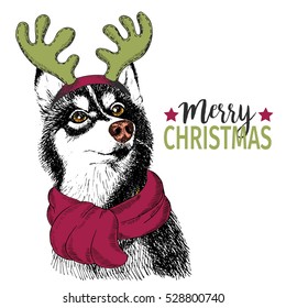 Vector portrait of Christmas dog. Siberian husky dog wearing deer horn rim and scarf. Xmas, New Year poster, flyer, greeting card, holiday, celebration, party, pet shop, shelter, pharmacy decoration.