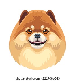 Vector portrait of cute pomeranian spitz dog isolated on white background, adorable puppy illustration, T-shirt print design template.