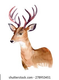 vector portrait of a deer. animal head, watercolor illustration. deer with large beautiful horns. hipster art.