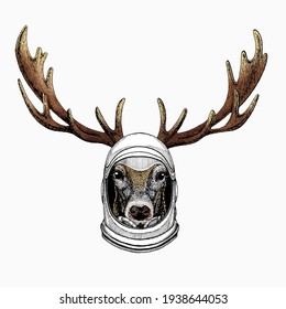 Vector portrait of deer. Woodland animal head. Astronaut animal. Vector portrait. Cosmos and Spaceman. Space illustration about travel to the moon. Funny science hand drawn illustration.