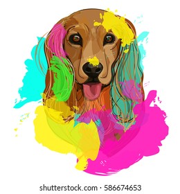 Vector portrait of a dog breed Spaniel, dog in bright yellow pink and turquoise paint spots. Festive illustration for Indian Holi festival.