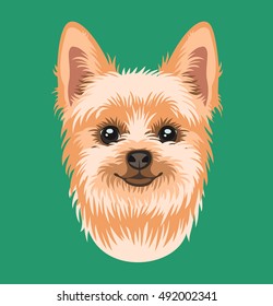 Vector portrait of the dog breed Yorkshire Terrier. Illustration of canine