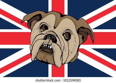 Vector Portrait of dog Bulldog on a brittish flag. T-shirt graphics. Illustration for fashion print, poster, textiles, fashion design.