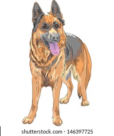 Vector portrait of a dog German shepherd breed smiles with his tongue hanging out