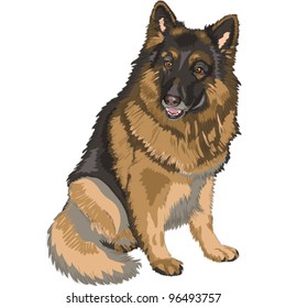 vector portrait of a dog German shepherd breed sitting and smile