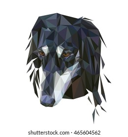 Vector portrait of the dog saluki breed, low poly style
