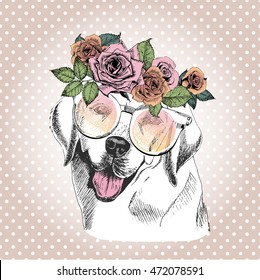 Vector portrait of dog, wearing the floral wreath and sunglasses. Hand drawn vintage trendy illustration. Labrador retriever breed. Isolated on polka dot and rose gold background. 