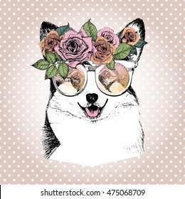 Vector portrait of dog, wearing the floral wreath and sunglasses. Hand drawn vintage trendy illustration. Welsh corgi pembroke breed. Isolated on polka dot and rose gold background. 