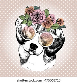 Vector portrait of dog, wearing the floral wreath and sunglasses. Hand drawn vintage trendy illustration. Beagle breed. Isolated on polka dot and rose gold background. 