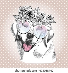Vector portrait of dog, wearing the floral wreath and sunglasses. Hand drawn vintage trendy illustration. Labrador retriever breed. Isolated on polka dot and rose gold background. 