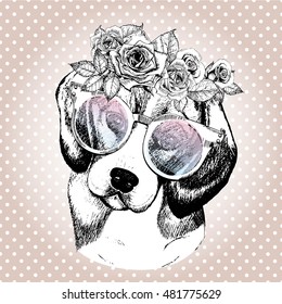 Vector portrait of dog, wearing the floral wreath and sunglasses. Hand drawn vintage trendy illustration. Beaggle breed. Isolated on polka dot and rose gold background. 