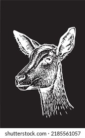 Vector portrait of fallow deer isolated on black, forest animal feline