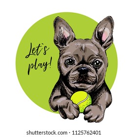 Vector portrait of French bulldog dog with tennis ball. Let s play. Green curveball. Summer cartoon illustration. Hand drawn pet portait. Poster, t-shirt print, holiday, postcard, summertime.