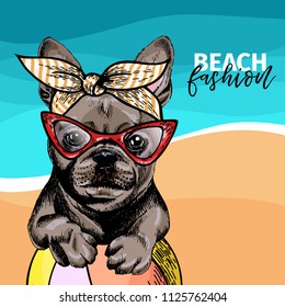 Vector portrait of French bulldog dog weas sunglasses and retro bandana. Summer fashion illustration. Sea, beach, ocean. Hand drawn pet portait. Poster, t-shirt print, holiday, postcard, summertime