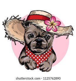 Vector portrait of French bulldog dog wearing straw hat, flower and polka dot bandana. Summer fashion illustration. Hand drawn pet portait. Poster, t-shirt print, holiday, postcard, summertime.