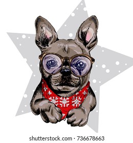 Vector portrait of French bulldog dog wearing winter bandana and glasses. Isolated on star and snow. Sketched color illustration. Christmas, Xmas, New year. Party decoration, promotion, greeting card.