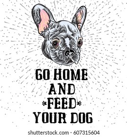 Vector portrait of French bulldog. Hand drawn domestic pet dog illustration. Isolated on background with sign to feed the dog.