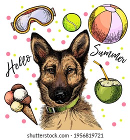 Vector portrait of german shepherd dog. Hello summer cartoon illustration. Coconut cocktail, balls, ice cream. Hand drawn pet portait. Poster, t-shirt print, holiday celebration, postcard, summertime
