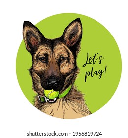 Vector portrait of german shepherd dog with tennis ball. Let s play. Green curveball. Summer cartoon illustration. Hand drawn pet portait. Poster, t-shirt print, holiday, postcard, summertime