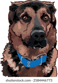 Vector Portrait of a German Shepherd Dog with a Blue Collar	