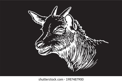 Vector portrait of  goat isolated on black background,farm animal
