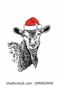 Vector portrait of goat in red hat of Santa Claus isolated on white background,farm animal	