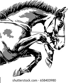 The vector portrait of a horse.