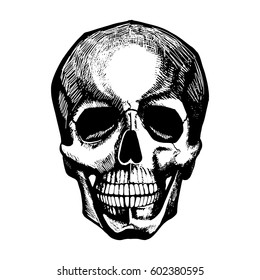 Vector portrait of human skull. Vintage hand drawn engraved art. Tattoo sketch or poster or fashion print.