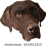 Vector portrait, illustration of a brown, chocolate dog of the Labrador retriever breed