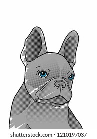 Vector portrait illustration drawing of a French Bulldog