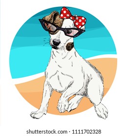 Vector portrait of Jack Russel terrier dog wearing sunglasses and retro bandana. Summer fashion illustration. Vacation, sea, beach, ocean. Hand drawn pet portait. Poster, print, holiday, summertime