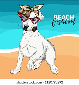 Vector portrait of Jack Russel terrier dog wearing sunglasses, retro bandana. Summer fashion illustration. Vacation, sea, beach, ocean. Hand drawn pet portait. Poster, holiday, postcard, summertime.