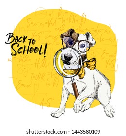 Vector portrait of Jack Russel terrier dog with magnifying glass and big nose reflection. Back to school illustration. Math formulas background. Hand drawn pet portait. Study poster, student cartoon