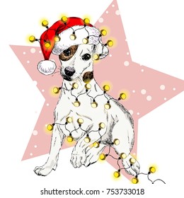 Vector portrait of jack russel terrier dog wearing santa hat and lights garland. Isolated on star and snow. Skecthed color illustraion. Christmas, Xmas, New year. Party decoration, greeting card.