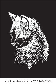 Vector portrait of kitten looking left isolated on black,graphical engraved illustration