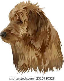 Vector Portrait Labradoodle Disabled eye