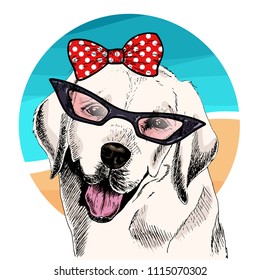 Vector portrait of Labrador retriever dog wearing sunglasses, retro bow. Summer fashion illustration. Vacation, sea, beach, ocean. Hand drawn pet portait. Poster, t-shirt print, holiday, summertime.