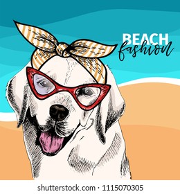 Vector portrait of Labrador retriever dog wears sunglasses, retro bandana. Summer fashion illustration. Sea, beach, ocean. Hand drawn pet portait. Poster, t-shirt print, holiday, postcard, summertime.