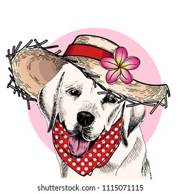 Vector portrait of Labrador retriever dog wearing straw hat, flower and polka dot bandana. Summer fashion illustration. Hand drawn pet portait. Poster, t-shirt print, holiday, postcard, summertime.