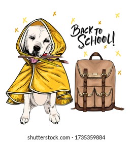 Vector portrait of Labrador retriever dog with backpack, pens and pencils wearing the raincoat. Back to school illustration. Hand drawn pet portait. Study poster, student cartoon. Education metaphor
