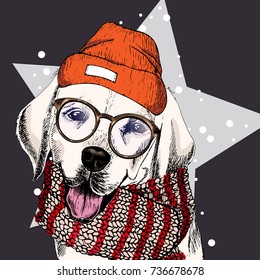 vector portrait of labrador retriever dog wearing beanie, glasses and scarf. Isolated on star, snow. Sketched color illustration. Christmas, Xmas, New year. Party decoration, promotion, greeting card.