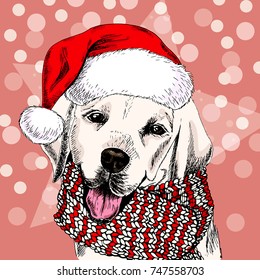 Vector portrait of labrador retriever dog wearing santa hat and scarf. Isolated on snowy trees and sparklers. Sketched color illustration. Christmas, Xmas, New year. Party decoration, greeting card.