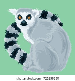 Vector Portrait of Lemur. Illustration of Madagascar lemur on green background detailed