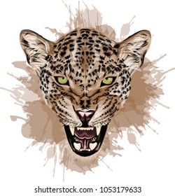 Vector portrait of a leopard - Colorful vector art