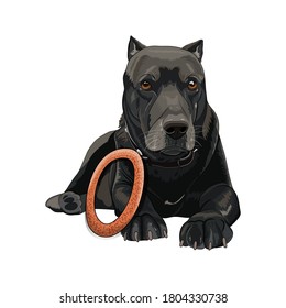 Vector portrait of the lying dog with the toy isolated on white background