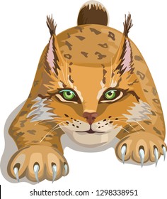 Vector portrait of lynx, red cat on the hunt, bobcat sneaks. Animal portrait for clothes, child books, notebook design.