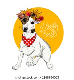 Vector portrait ofJack Russel terrier dog wearing autumn leaves crown. Hello fall illustration. Oak, maple, chestnut, rowen. Hand drawn pet portait. Poster, t-shirt print, postcard, seasonal greeting