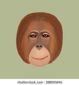 Vector portrait orangutan